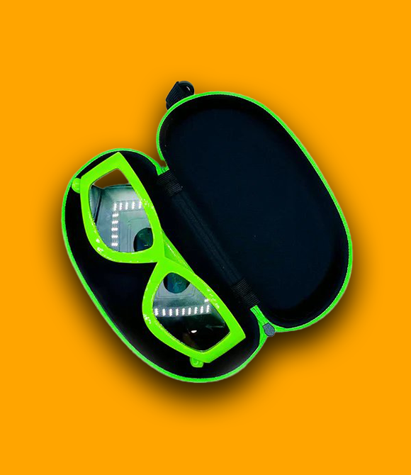HIPSTER HUES HOLSTER CASE