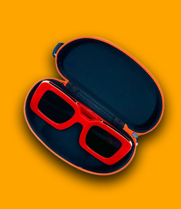 RAINBOW RAY WRANGLER CASE