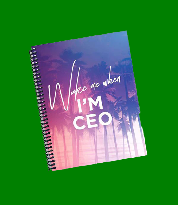 WAKE ME UP WHEN I AM THE CEO DIARY